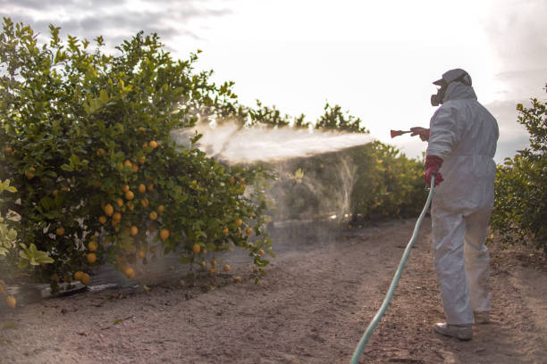 Best Pest Prevention Services  in Fillmore, CA