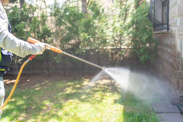 Spider Control Near Me in Fillmore, CA