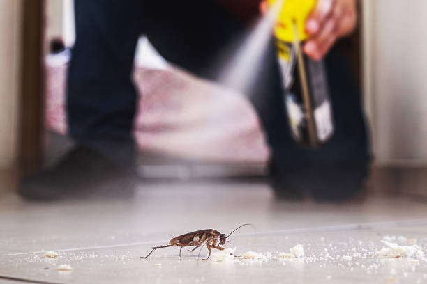 Best Pest Inspection Near Me  in Fillmore, CA