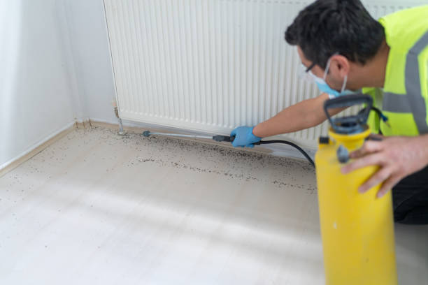 Best Emergency Pest Control  in Fillmore, CA